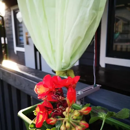 Maharowka Privatunterkunft Ostrowo (Puck)