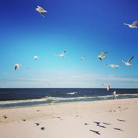 Maharowka * Ostrowo (Puck)