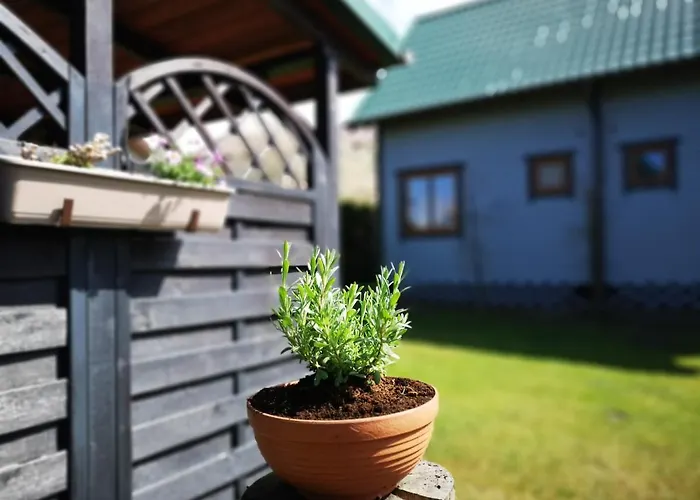 Domki Maharówka Ostrowo Habitación en casa particular *