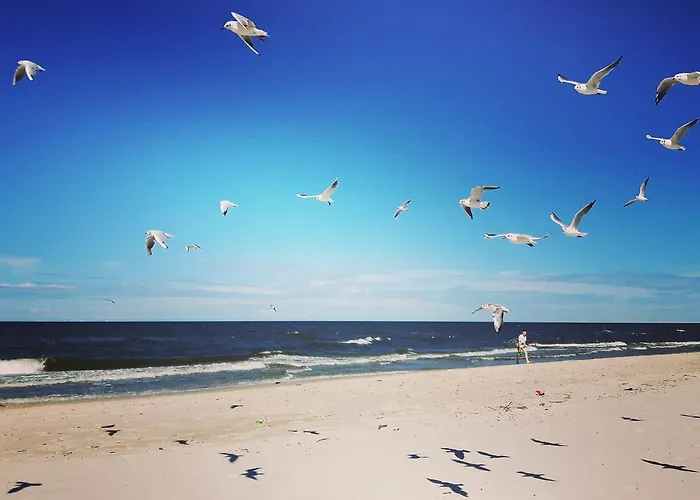 Maharowka * Ostrowo (Puck)